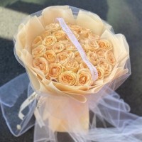 ͨʻٵ